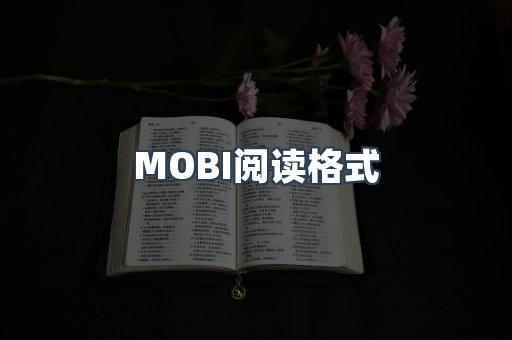 MOBI电子书